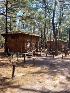 bungalow-for-8people